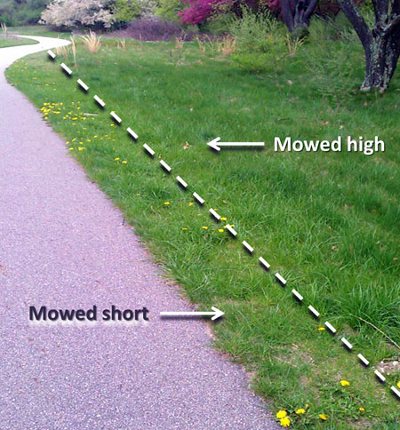 Mowing height