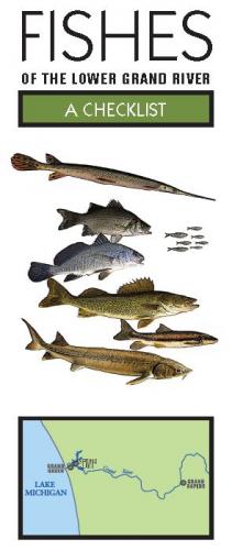 Fishes of the Lower Grand River Checklist cover image.