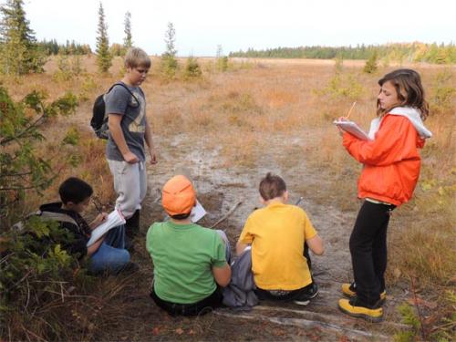 Students collecting data in the field image.