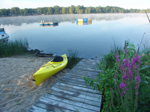 A yellow kayak is seen beached on the side of the lake near a pier. A stand of invasive purple loosestrife is nearby.