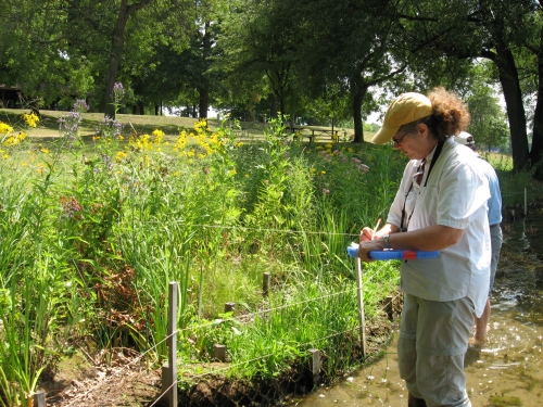 (1)	MSUE Extension Educator Jane Herbert evaluates native plants at a natural shoreline demonstration site in Oakland County
