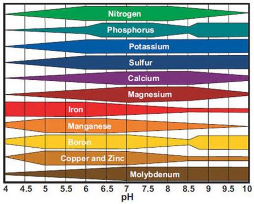 Nutrient availability in relation to pH graph