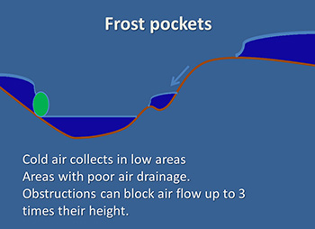 Frost pocket figure